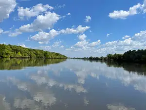Adelaide River Cruises