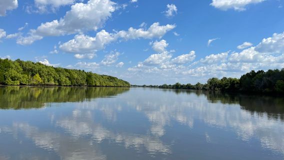 Adelaide River Cruises