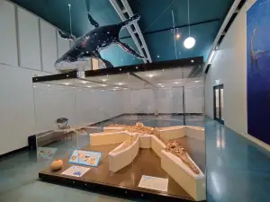 Kronosaurus Korner