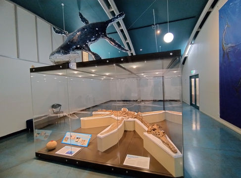 Kronosaurus Korner