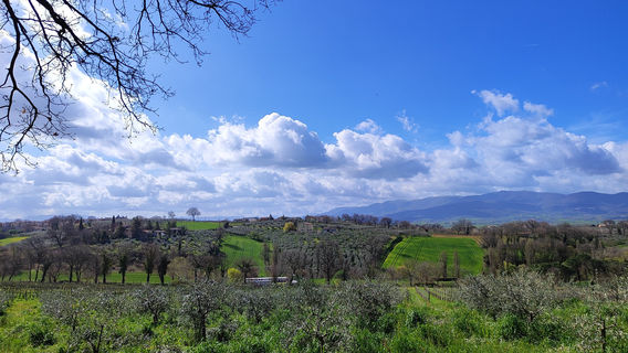 Montioni Frantoio e Cantina