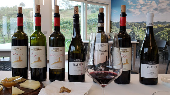 Podere Pellicciano - Agrisole