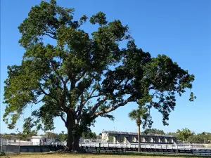 W.P. Franklin North Campground