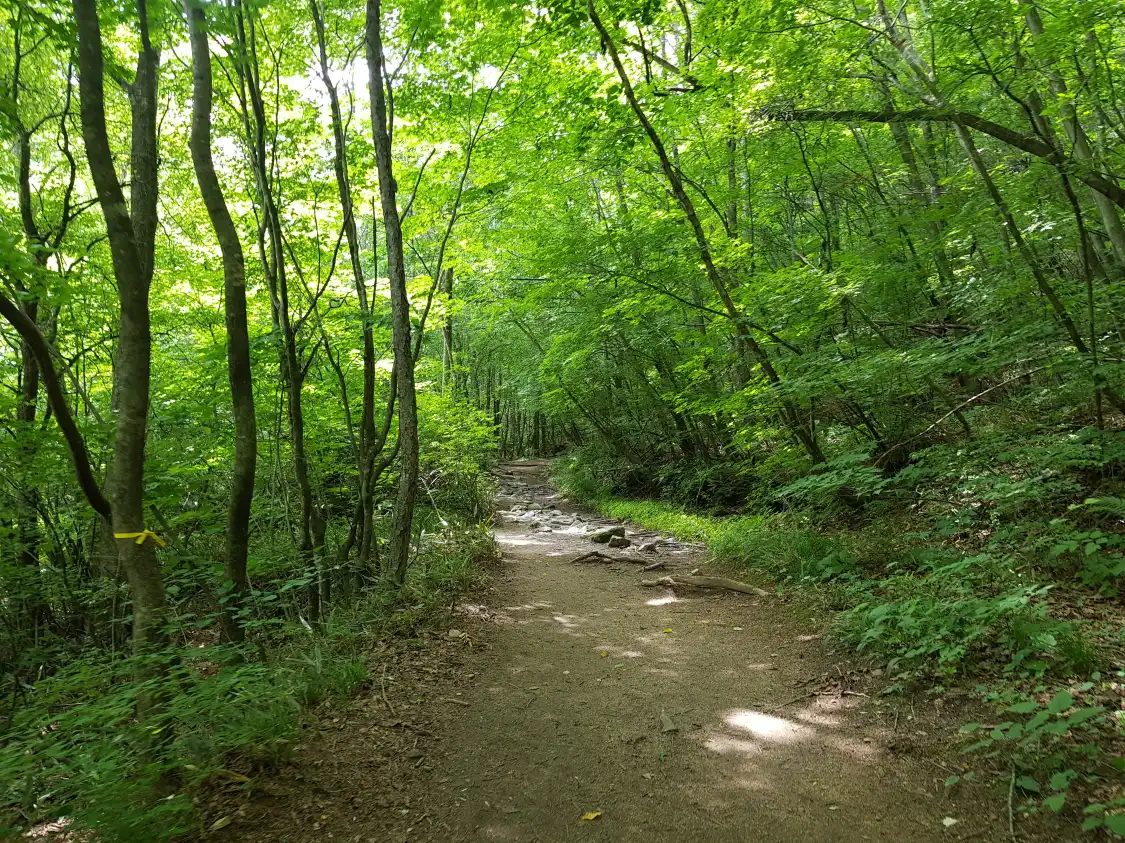 Hotels near Bangtaesan Recreational Forest