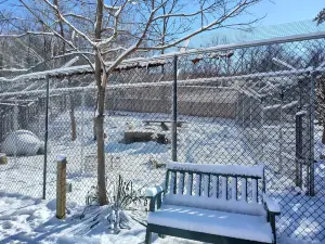 Endangered Wolf Center