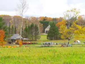 Treworgy Family Orchards