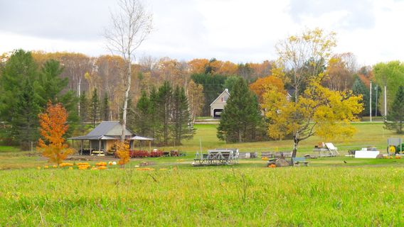 Treworgy Family Orchards