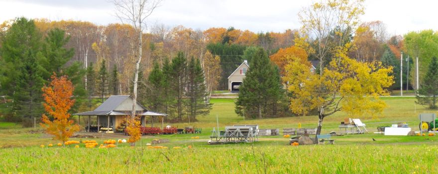 Treworgy Family Orchards