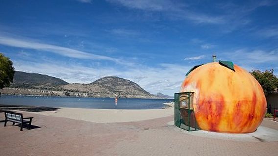 Pier Water Sports | Penticton Boat Rentals