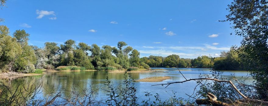 Paxton Pits Nature Reserve