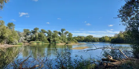 Paxton Pits Nature Reserve