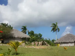 Campina Taina