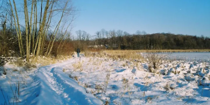 J. Arthur Herrick Fen Nature Preserve
