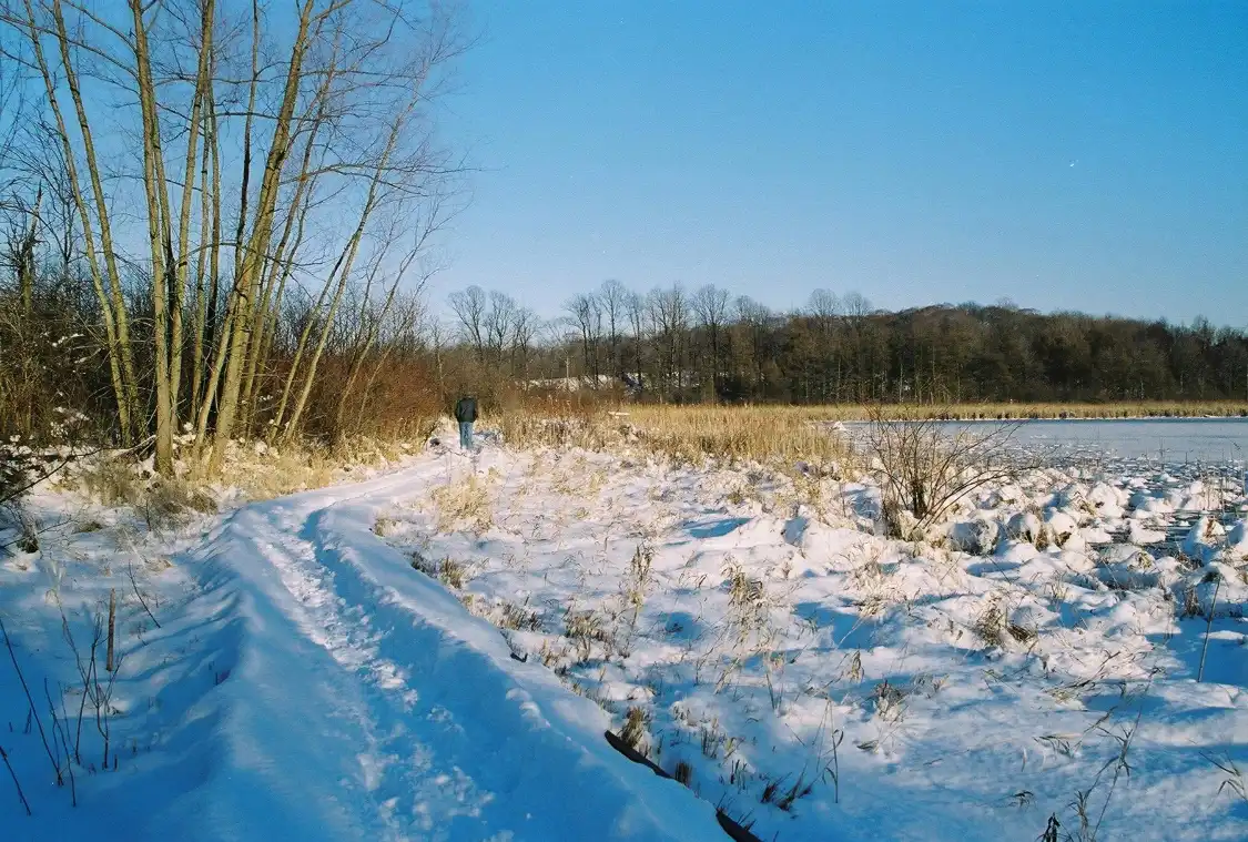 Hotels near J. Arthur Herrick Fen Nature Preserve