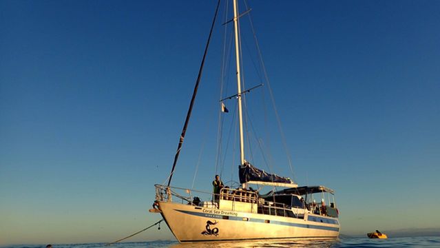 Coral Sea Dreaming Dive and Sail