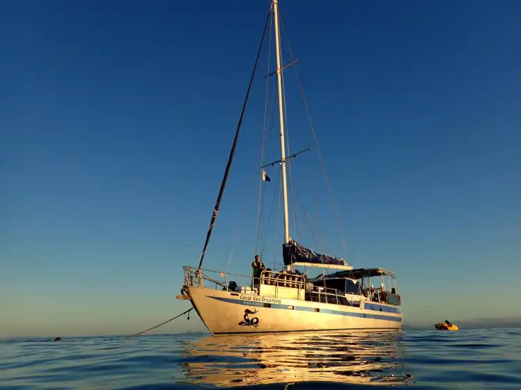 Hotels near Coral Sea Dreaming Dive and Sail