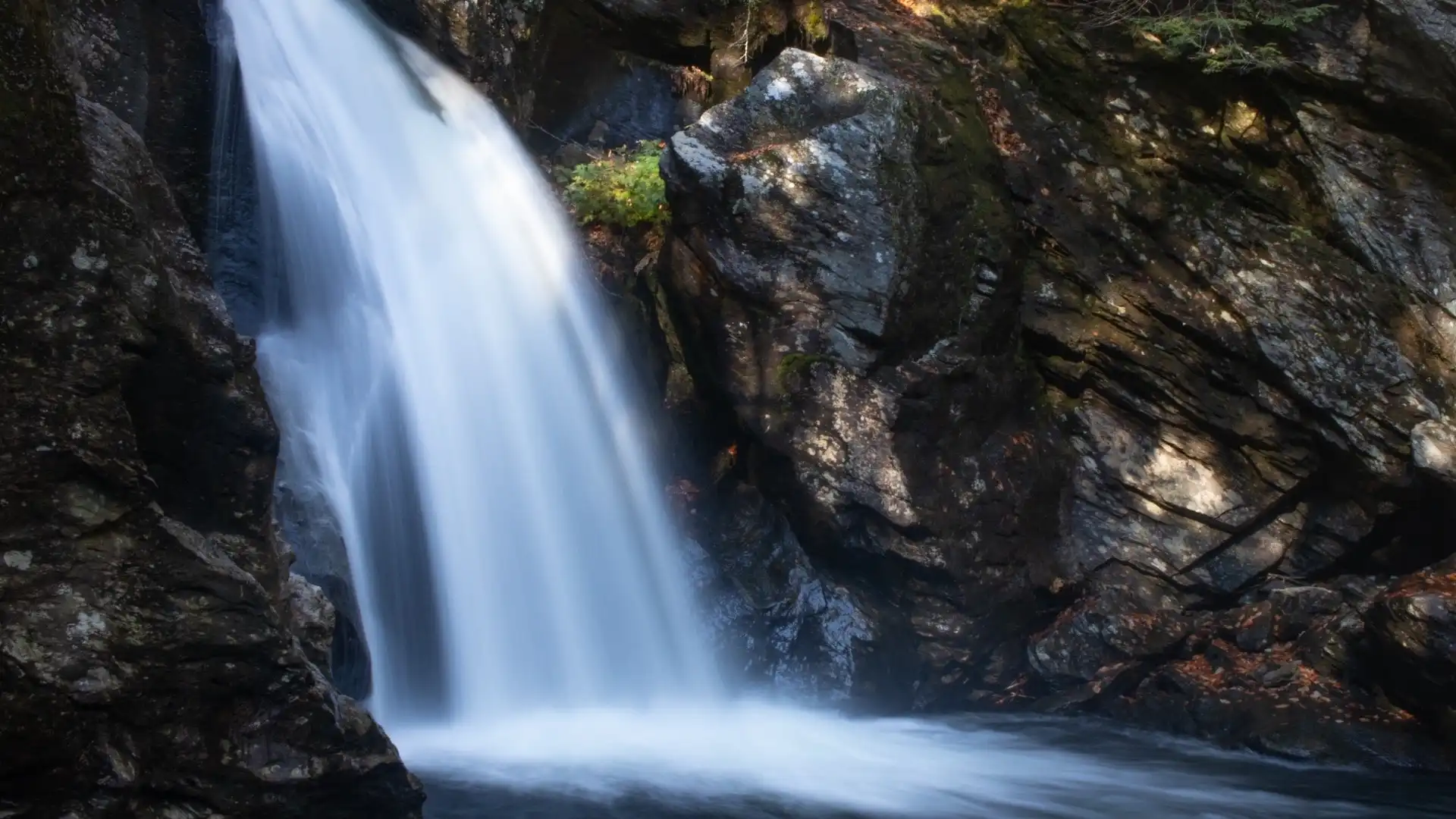 Hotels near Bingham Falls
