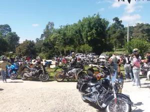 Colônia Witmarsum