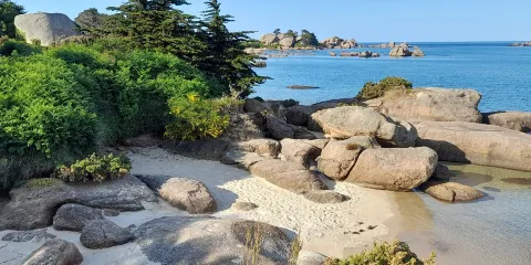 Sentier de L'ile Renote