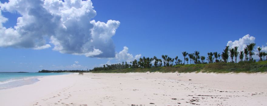 French Leave Beach