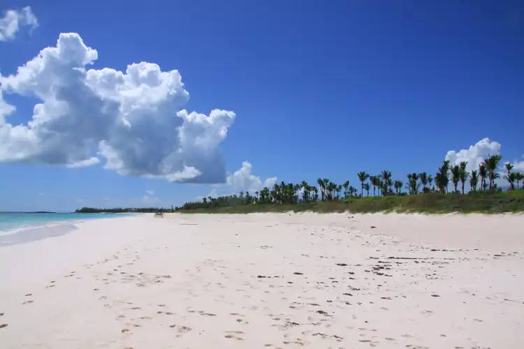 Hotels near French Leave Beach