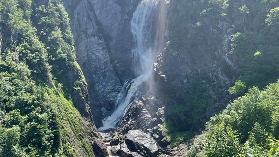Steady Brook Falls Trail