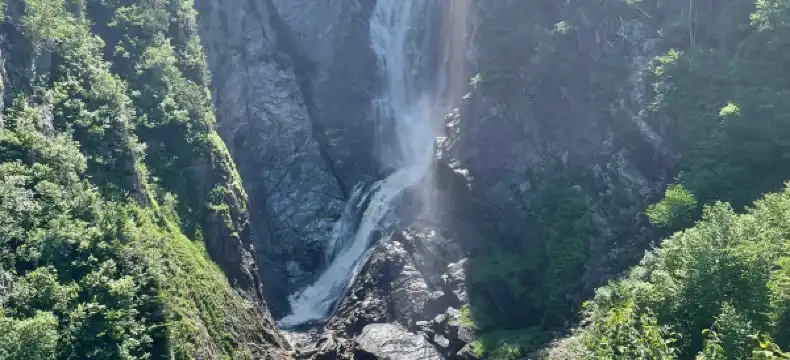 Hotels in Corner Brook