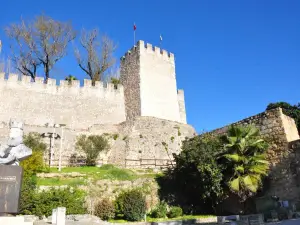 Castelo de Torres Novas