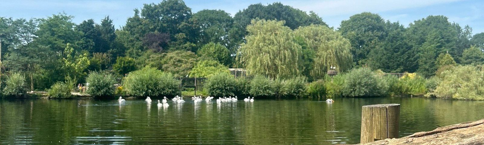 Alphen aan den RijnМестная кухня