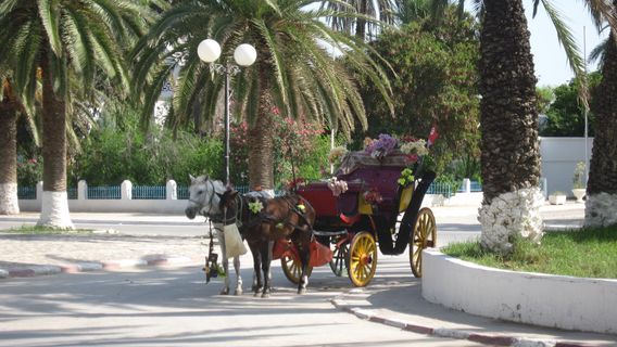 Nabeul Archaeological Museum