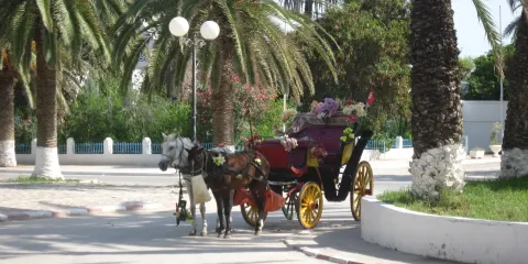 Musee Archeologique de Nabeul