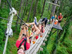 Charleston Adventure Forest