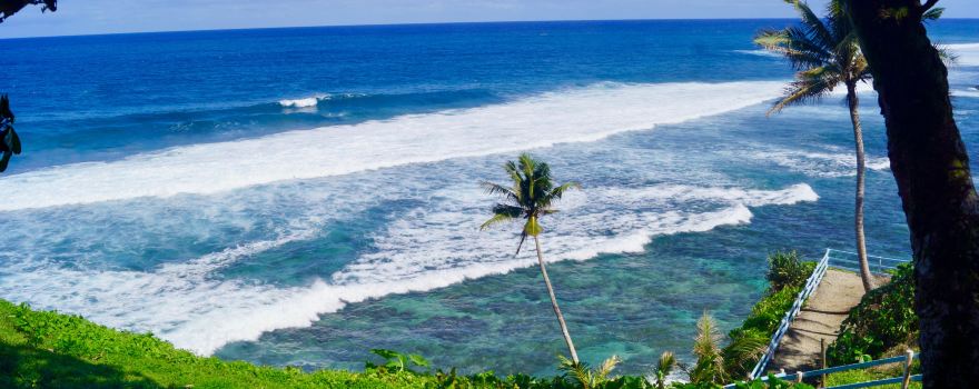 Fa'asaleleaga