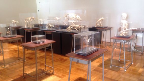 Museum of Natural and Environmental History, Shizuoka