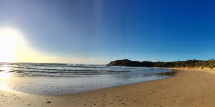 Diggers beach