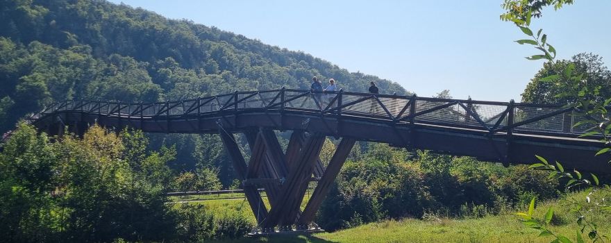 Holzbrucke Tatzlwurm