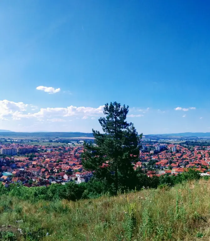 Лесковац