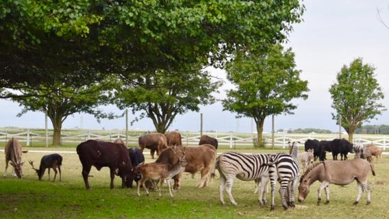 Aikman Wildlife Adventure