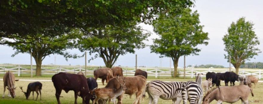 Aikman Wildlife Adventure