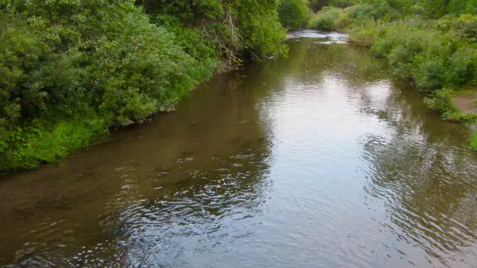 5_Cobourg Conservation Area