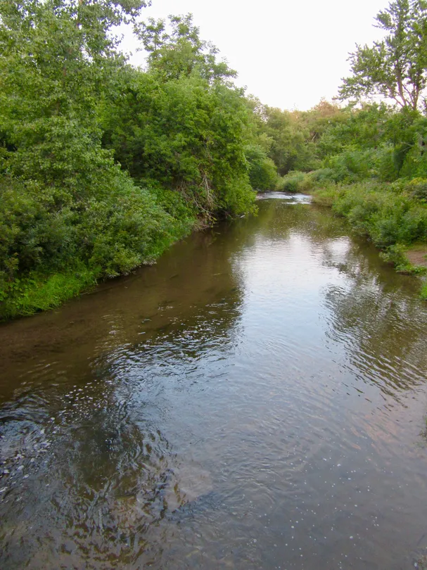 5_Cobourg Conservation Area