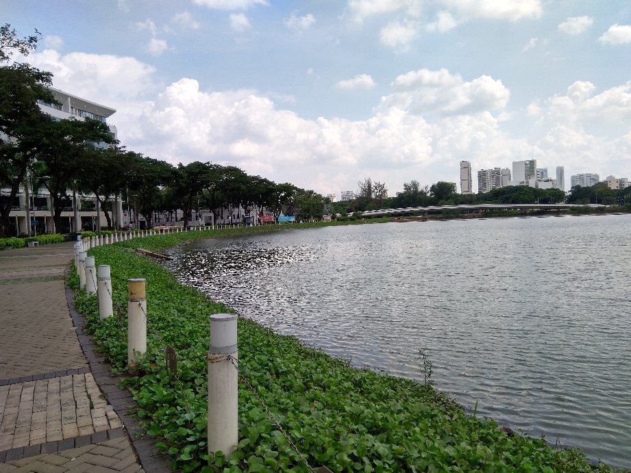 Crescent Lake Park
