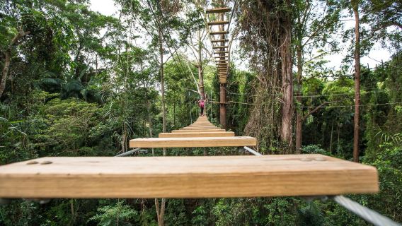 TreeTop Challenge