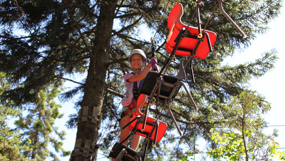 TimberTop Adventures