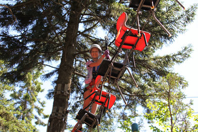 TimberTop Adventures