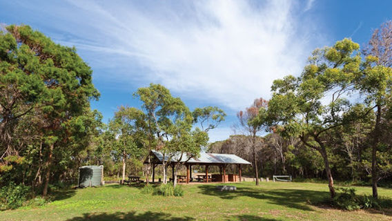 Illaroo group camping area