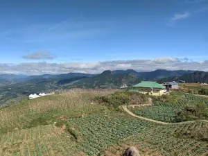 Madalipey Viewdeck