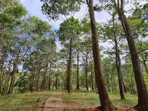 Gingoog Hills Resort