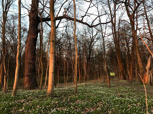 Nature reserve "Debra"