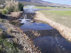 West Nador Forest